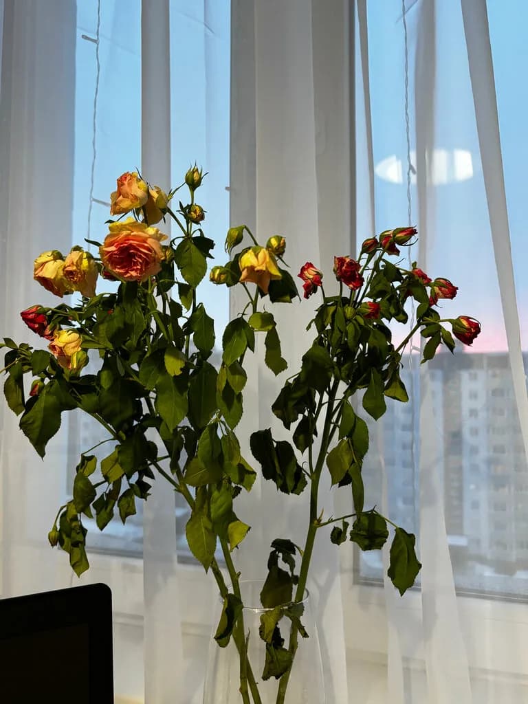 Цветы
