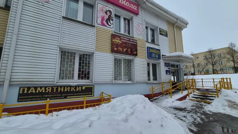 Шахматы