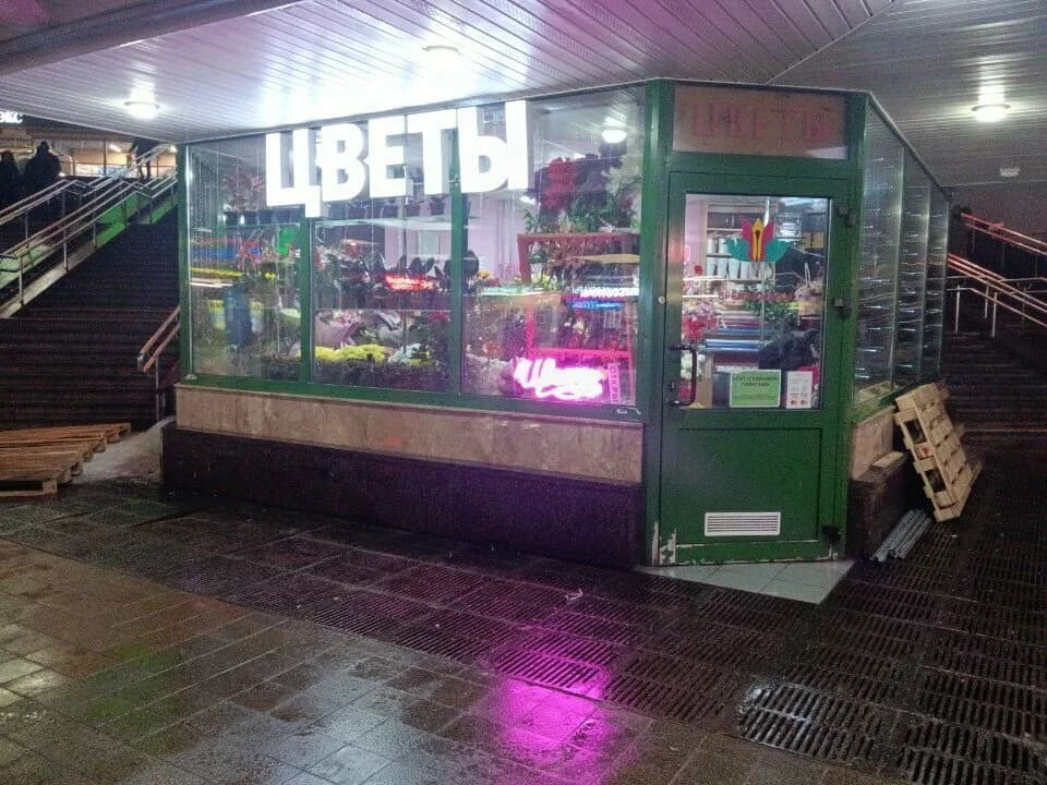 Гузмания