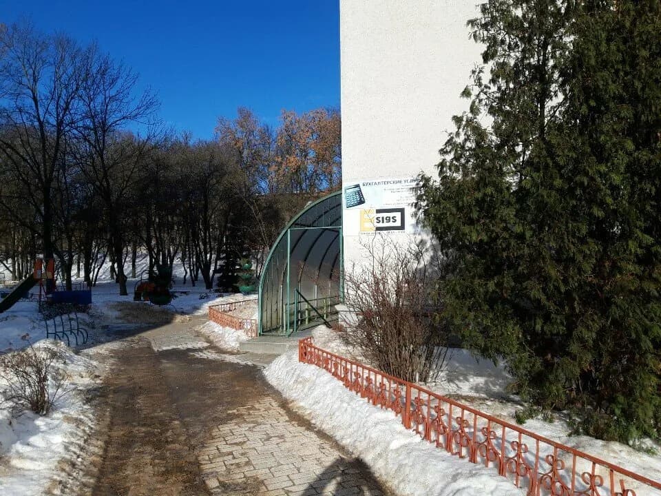 Оранжевый кот — фото 2