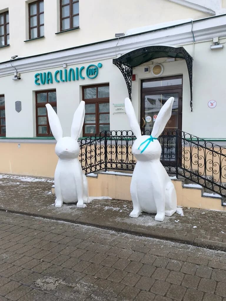 Медицинский центр EVACLINIC IVF (ЕВАКЛИНИК АЙ ВИ ЭФ) — фото 4