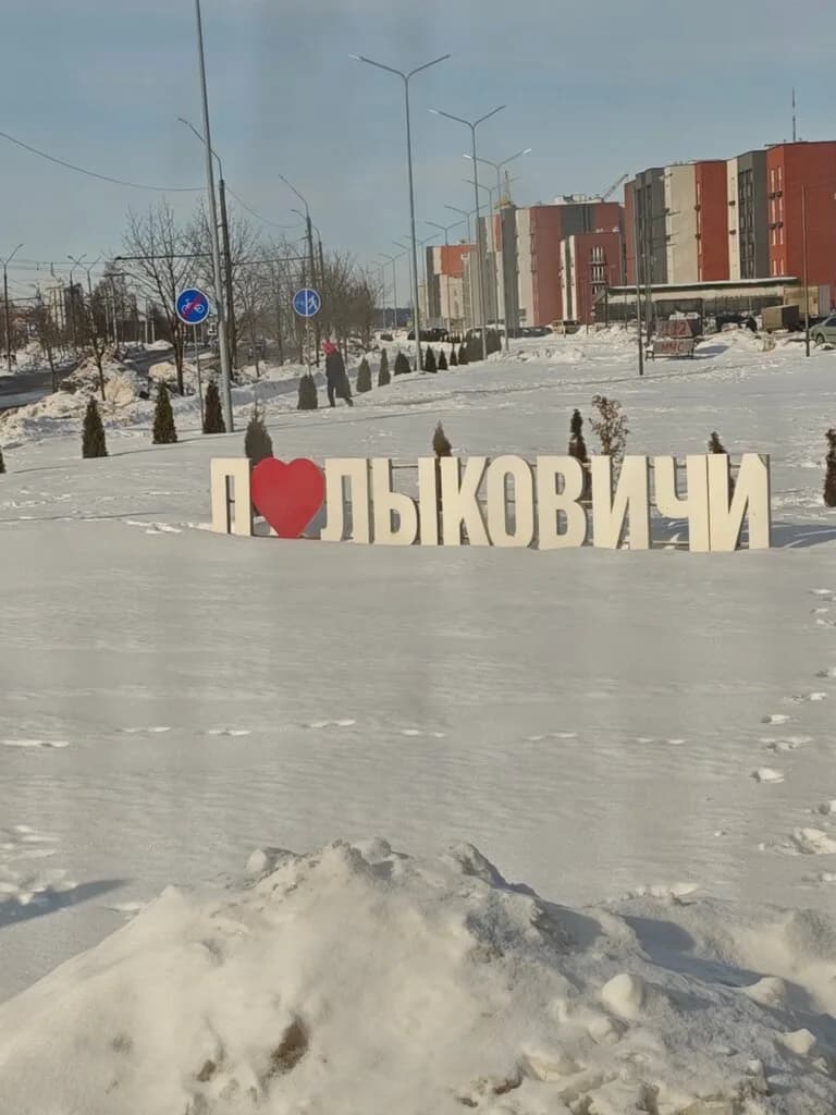 Серая шейка — фото 2