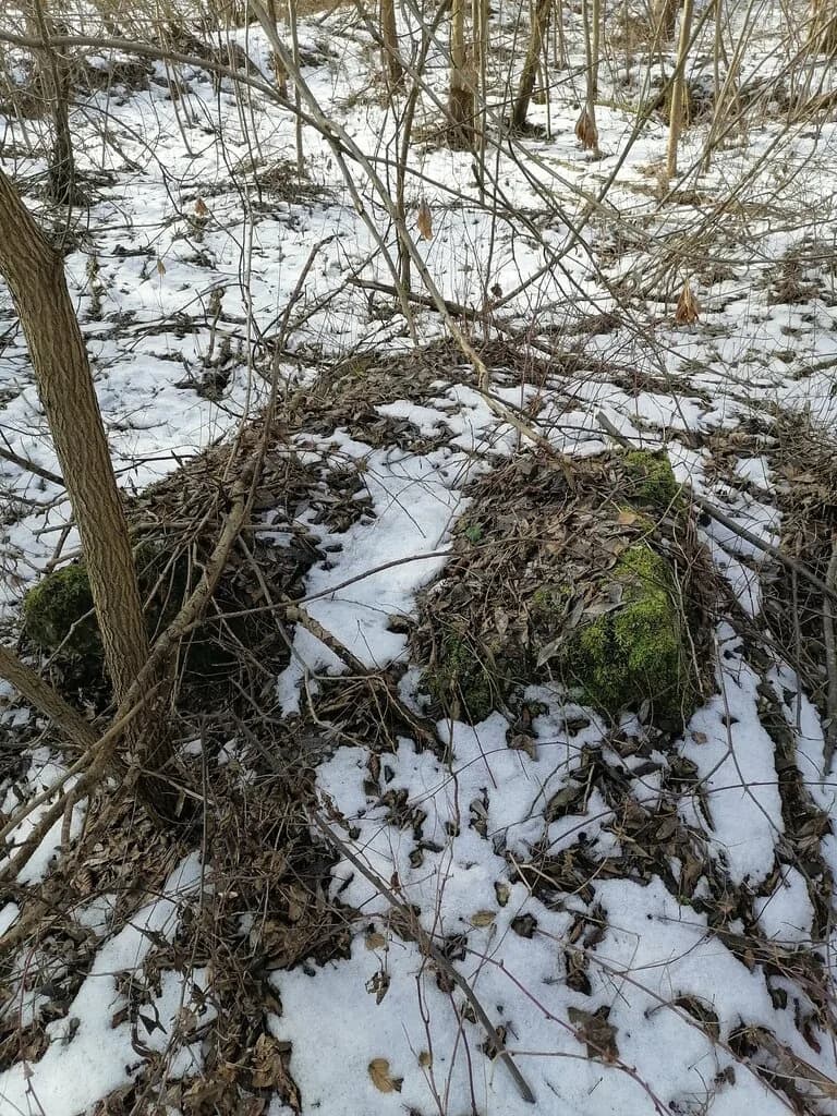 Форт литеры Г — фото 6