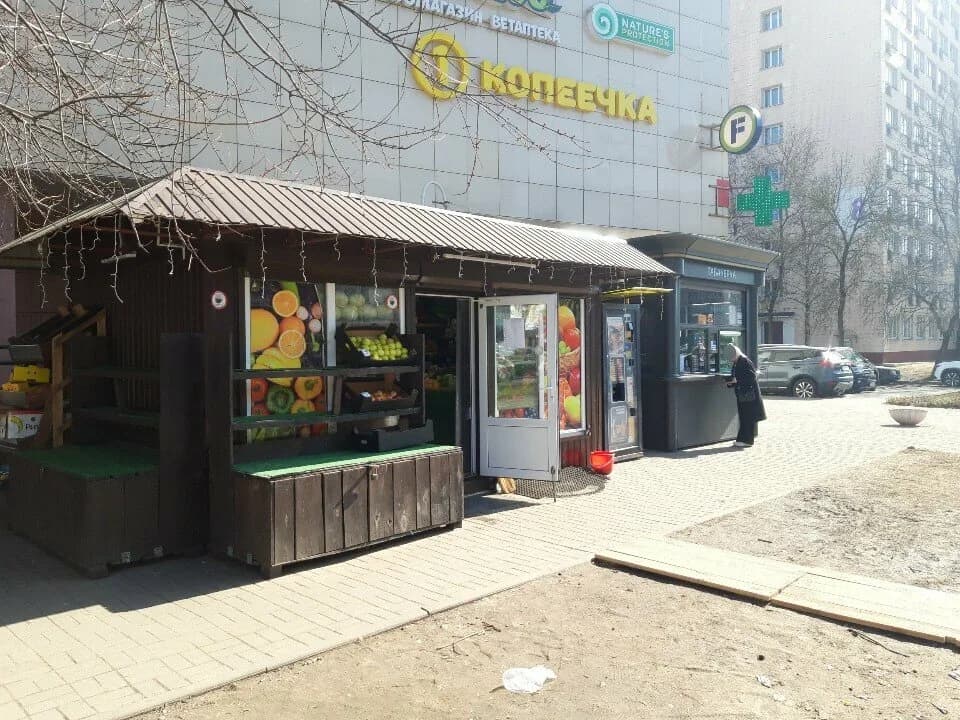 Овощи и фрукты — фото 4