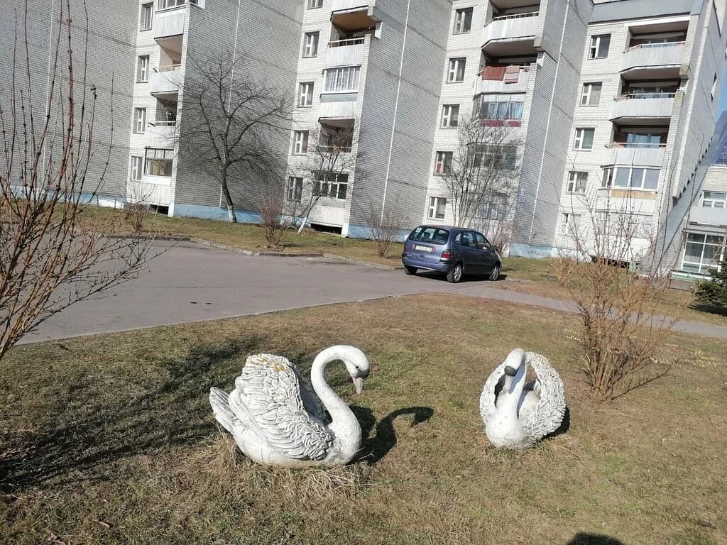 Аллея юности — фото 2