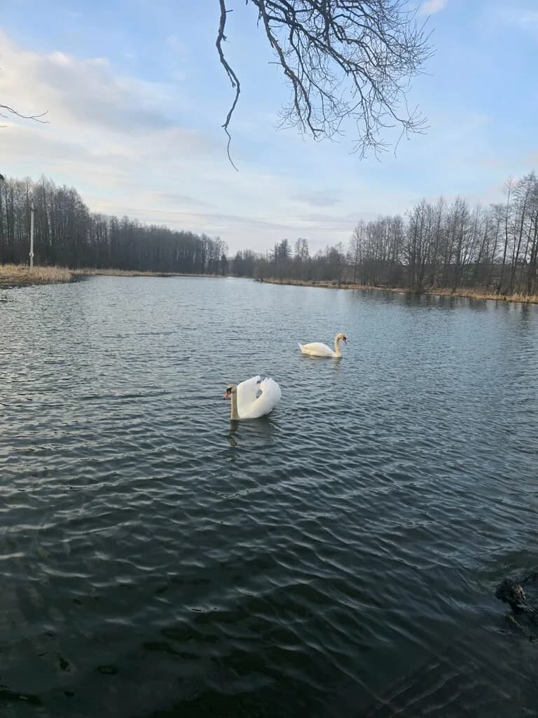 Водяная мельница — фото 6