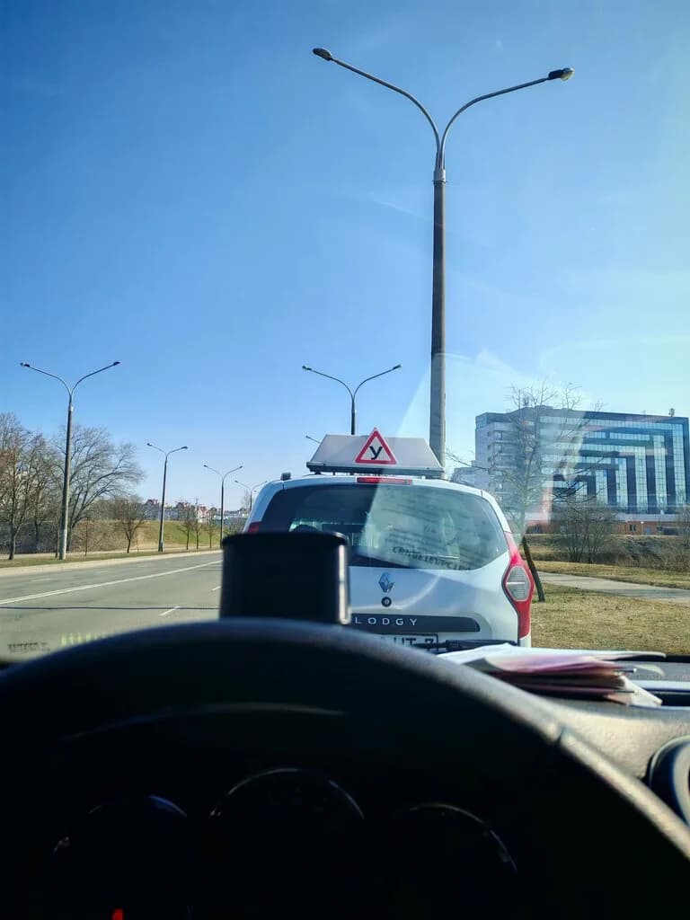 Зебра