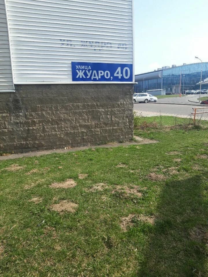 Дельфин