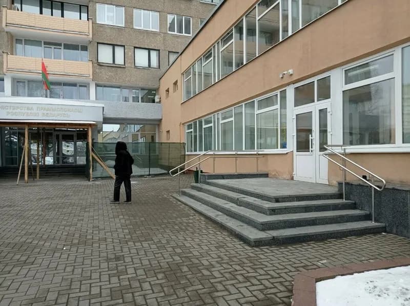 Стамми