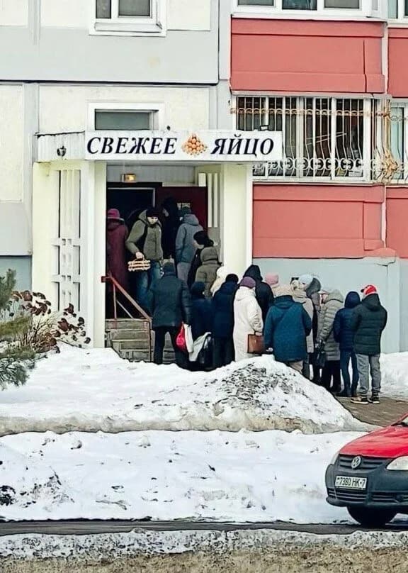 Свежее яйцо — фото 6