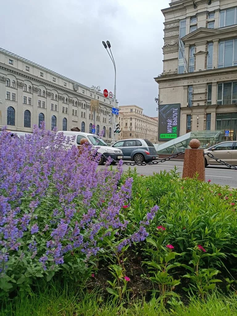 Здание Национального банка Республики Беларусь — фото 4