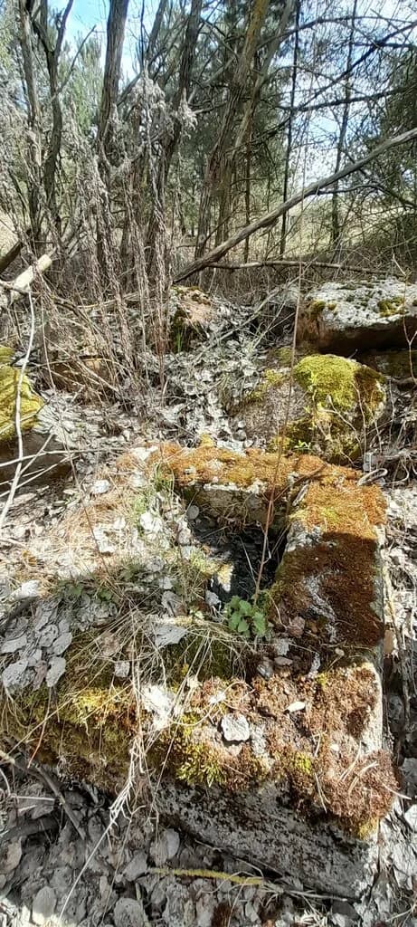 Остатки замка Чарторыйских
