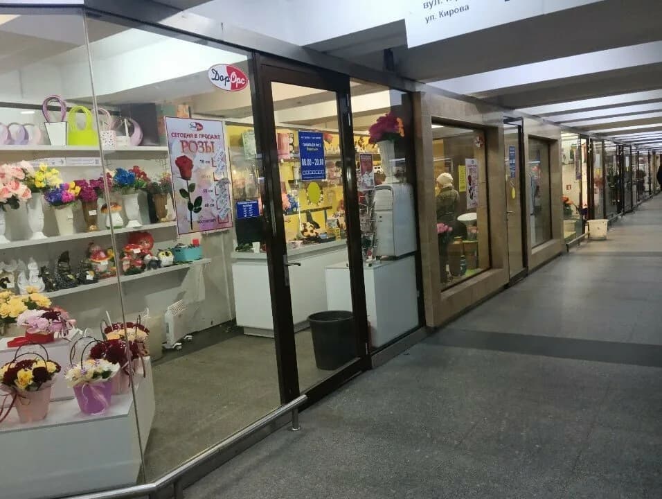 ДОРОРС