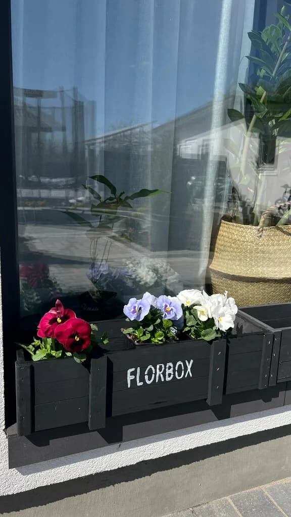 Florbox — фото 4