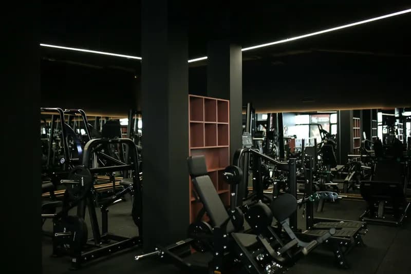 Body Factory