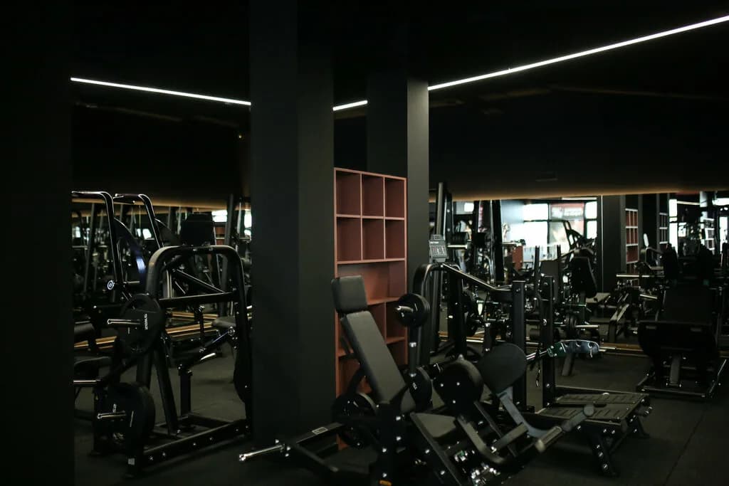 Body Factory