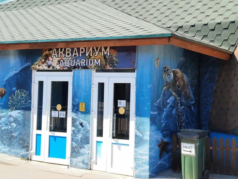 Аквариум