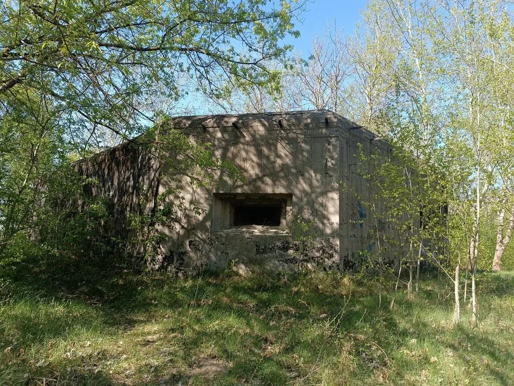 ДОТ
