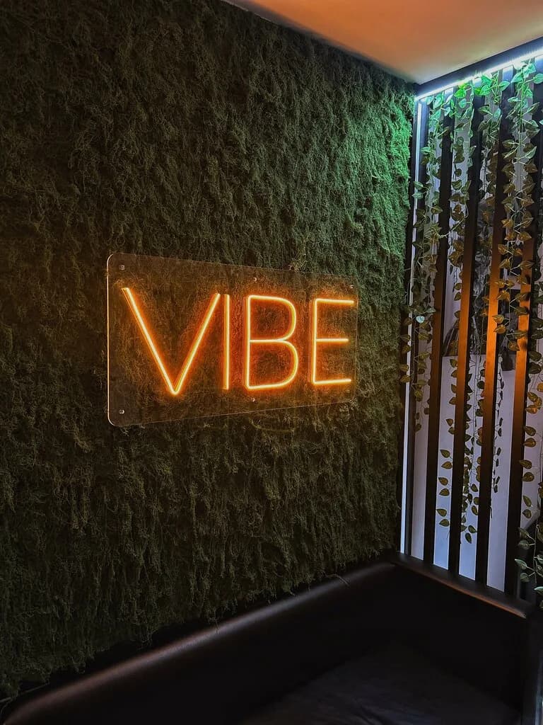 Vibe — фото 3