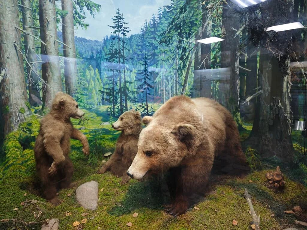 Национальный исторический музей Республики Беларусь — фото 3