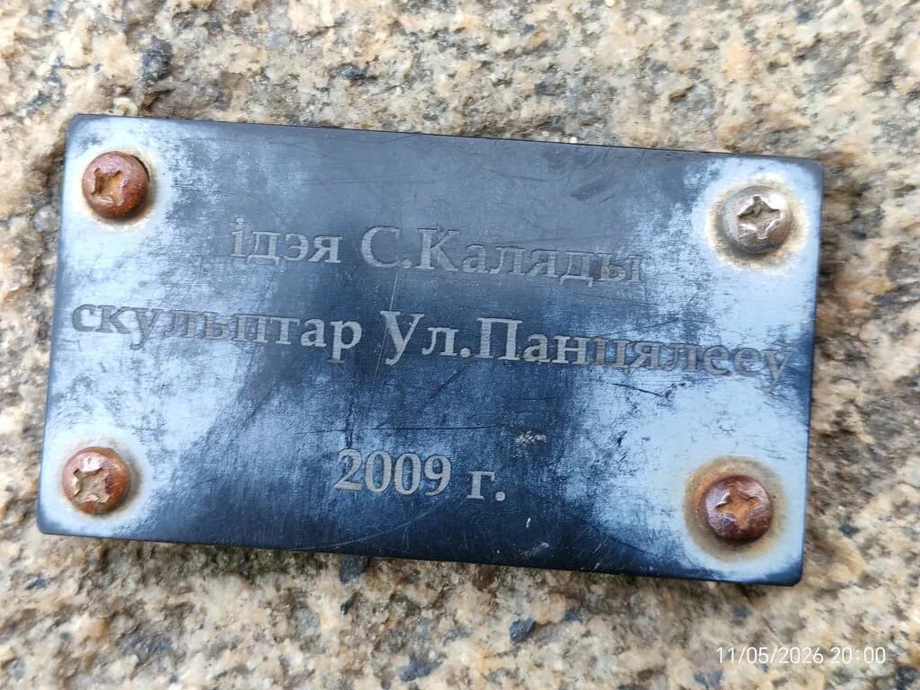 Лягушка-путешественница — фото 5