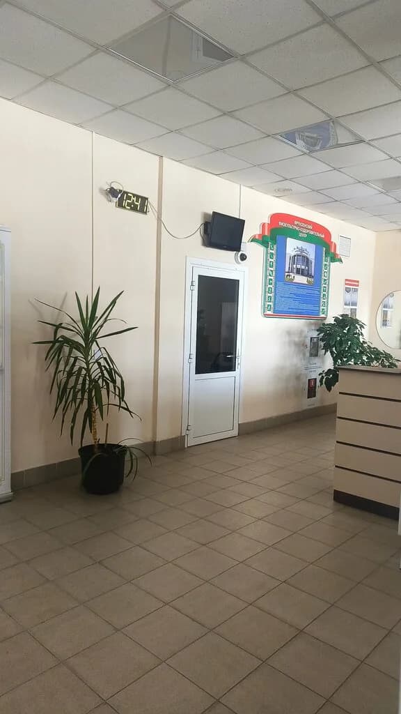 Лыжные гонки