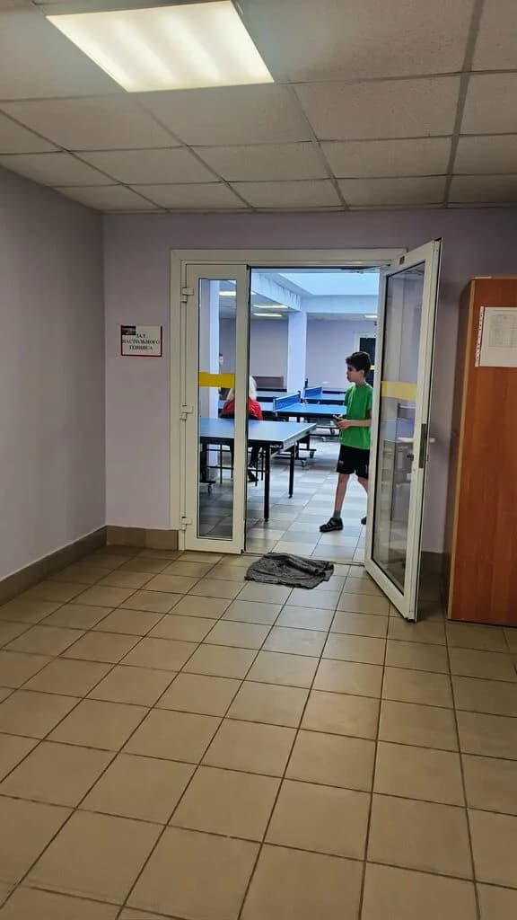 Настольный теннис