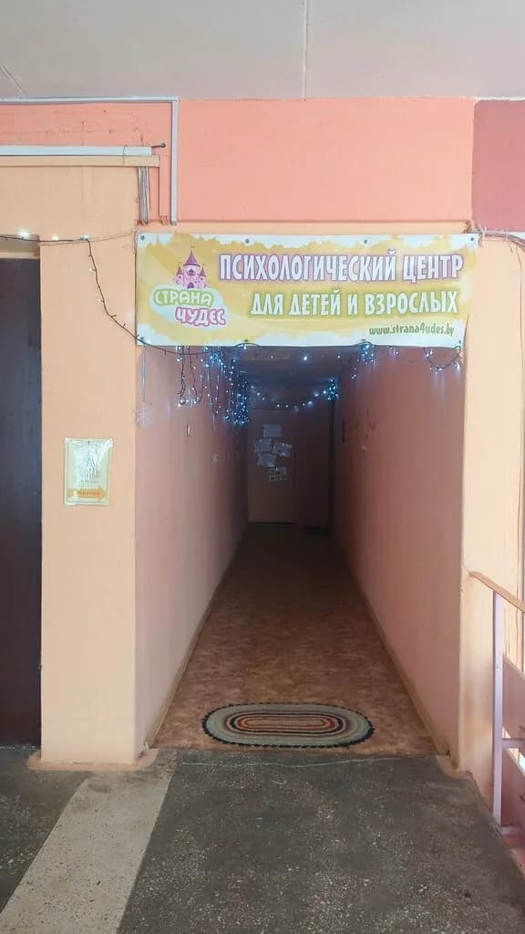 Психологический центр для детей и взрослых «Страна Чудес» — фото 5