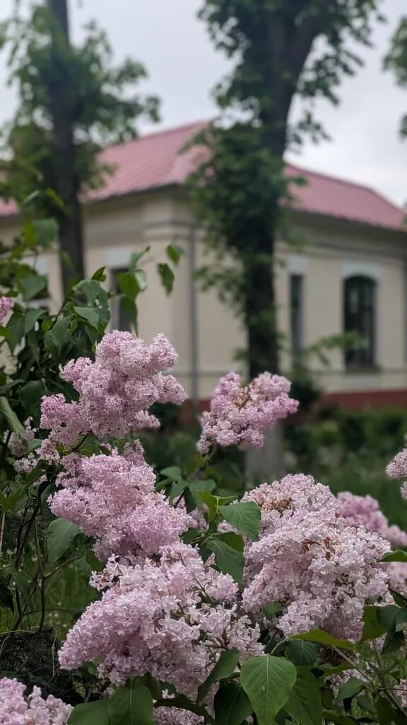 Городская клиническая инфекционная больница, административный корпус — фото 3