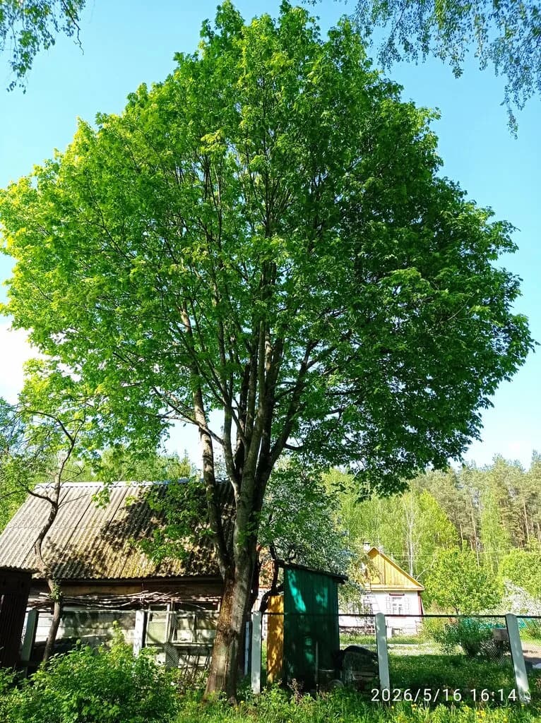 Музей-дача Василя Быкова — фото 5