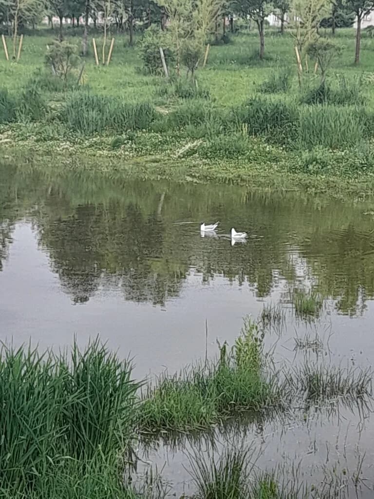 Экотропа Птичья полянка — фото 2