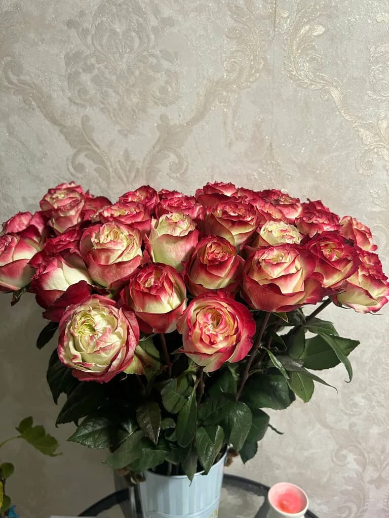 Лотос — фото 2
