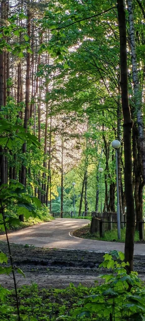 Лыжная трасса — фото 3