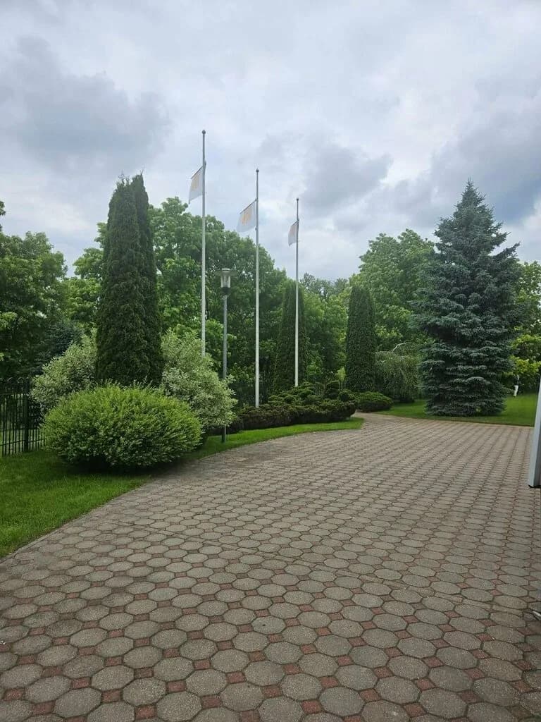 Экзарта-баланс — фото 6