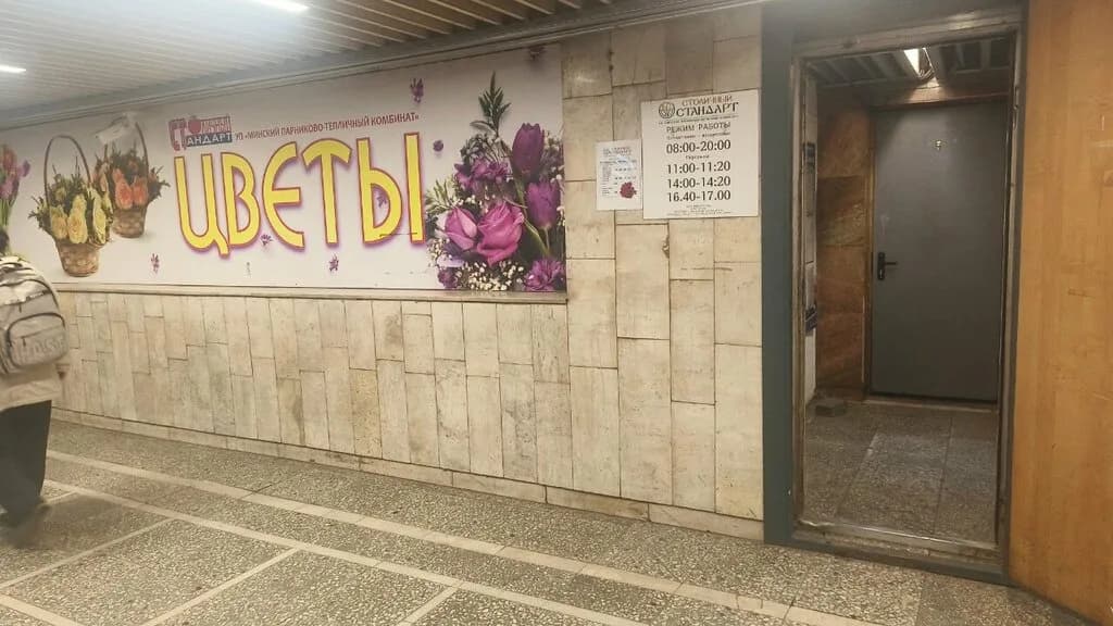 Столичный стандарт — фото 5