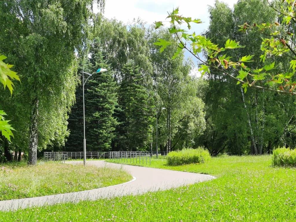 Лыжная трасса — фото 3