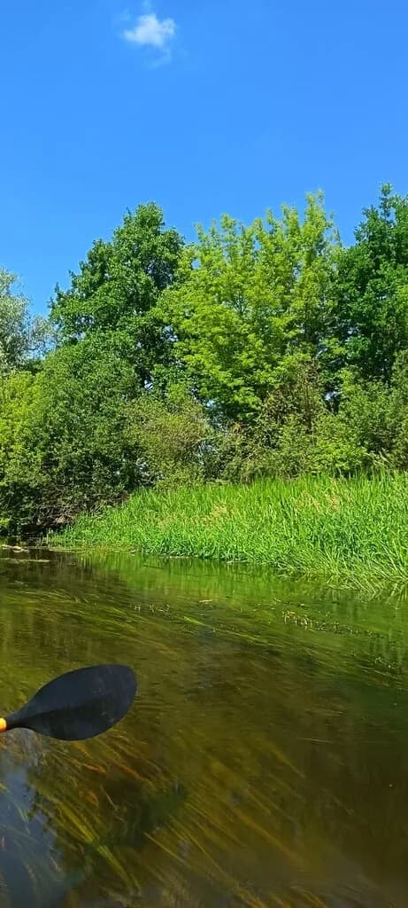 База отдыха Клейники — фото 5