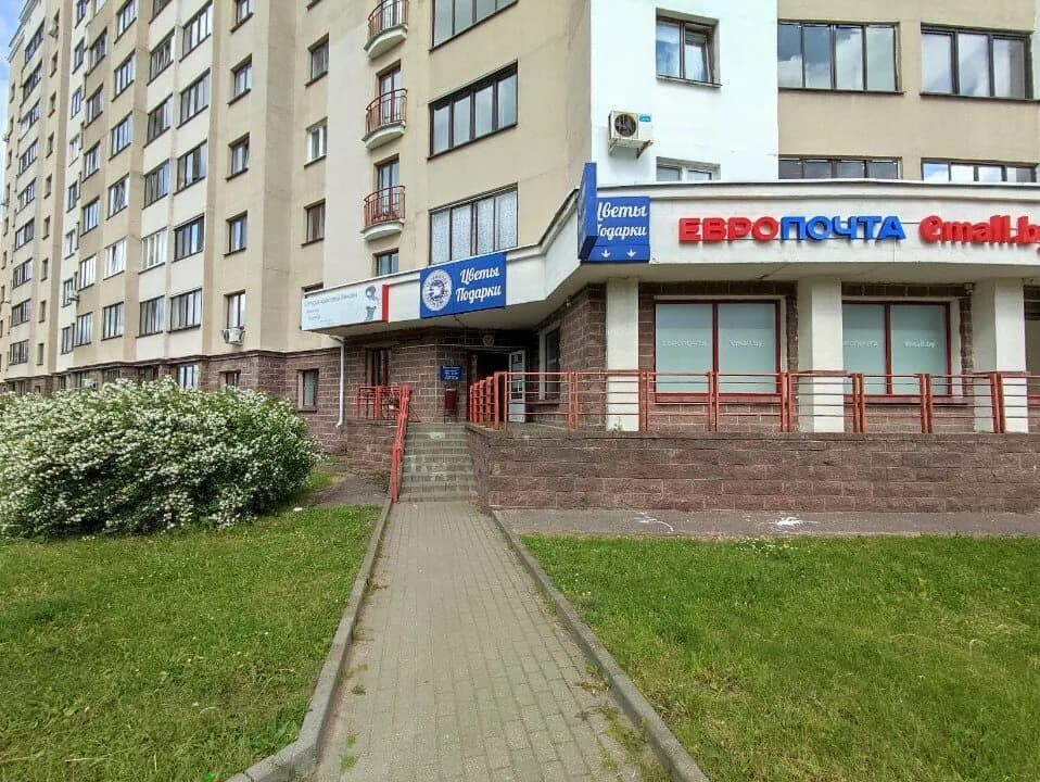 Восточный ветер — фото 6