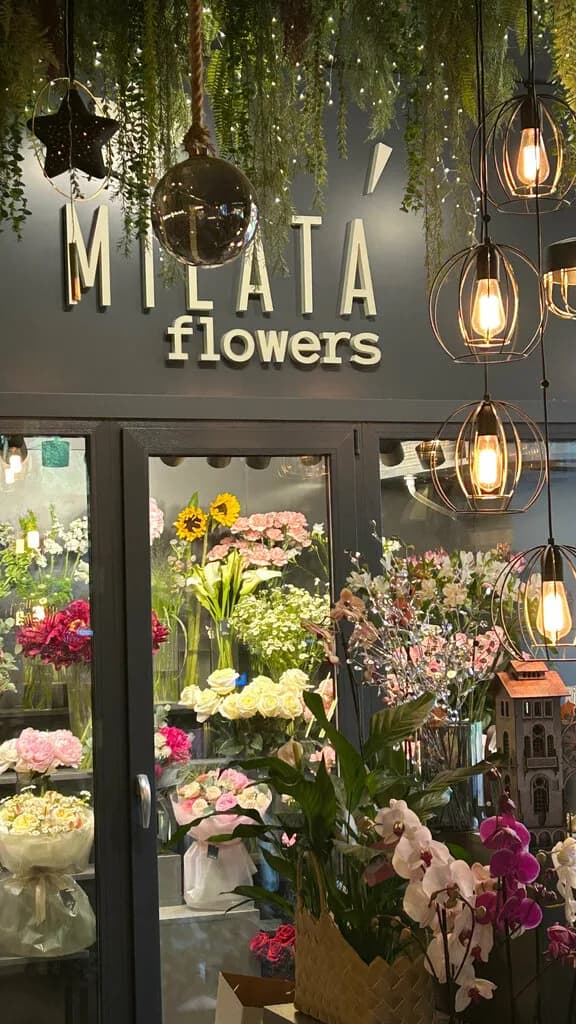 Milata — фото 3