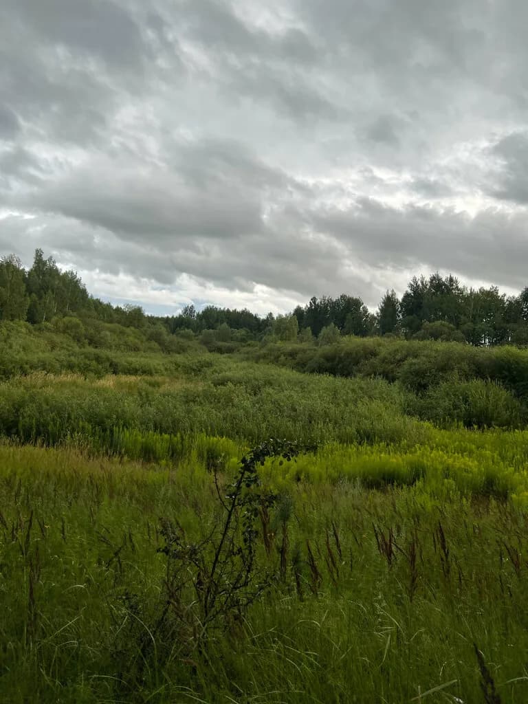 Гора Шиловка — фото 3
