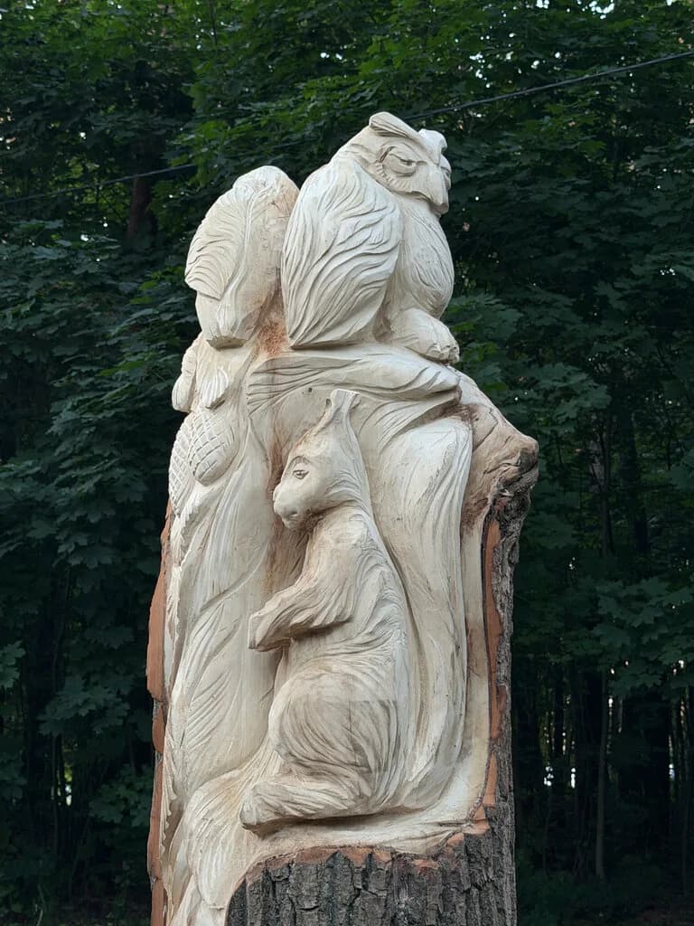 Экотропа Лесная — фото 4