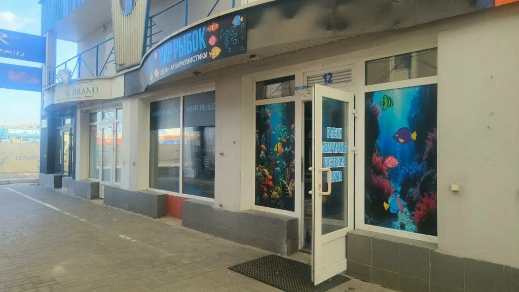 Мир рыбок