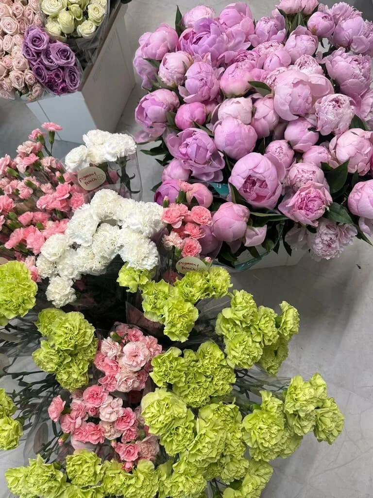 Pigment Bunch — фото 6