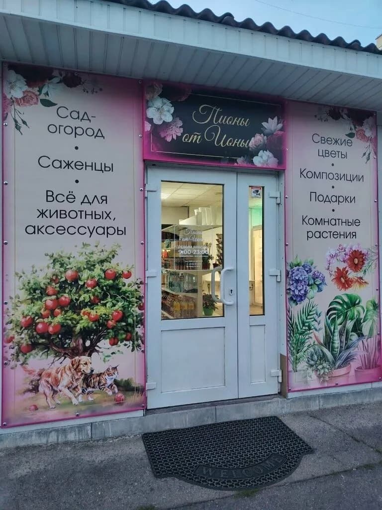 Пионы от Ионы