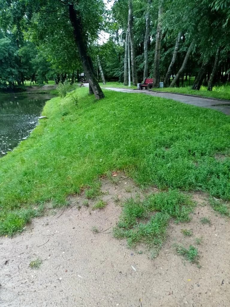 Экотропа Птичья полянка — фото 6