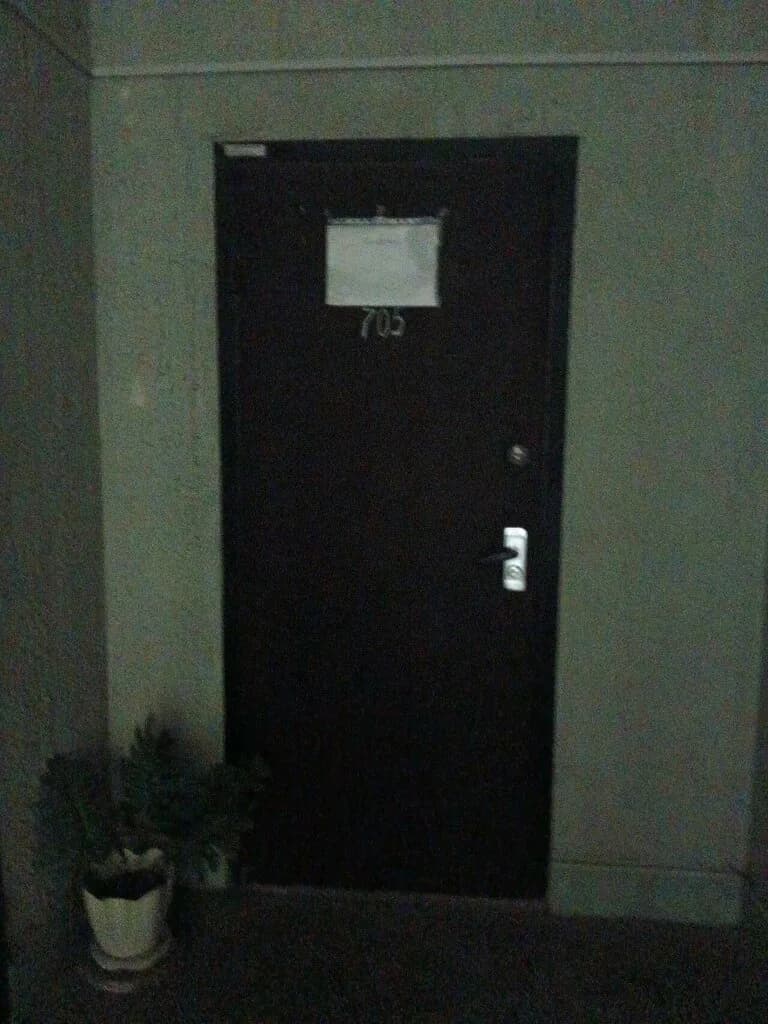 Дюма — фото 6