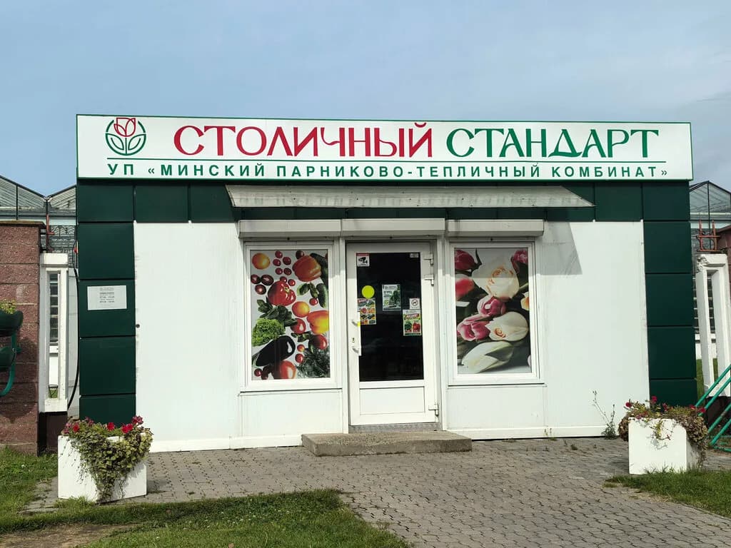 Столичный Стандарт