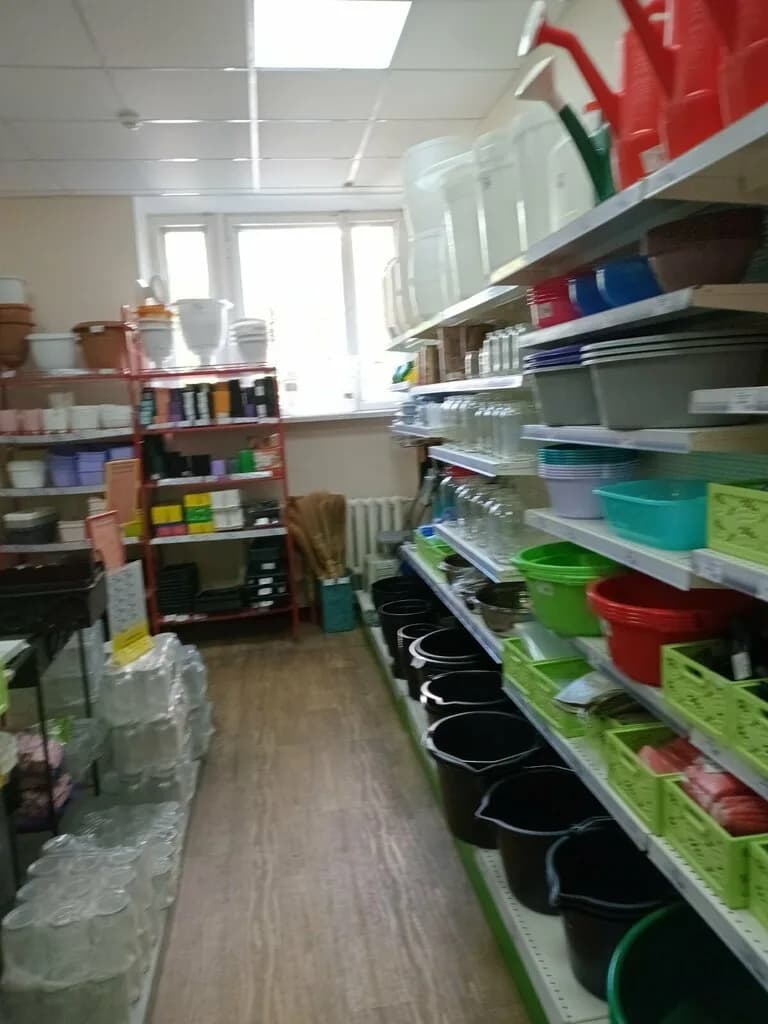 Насенне