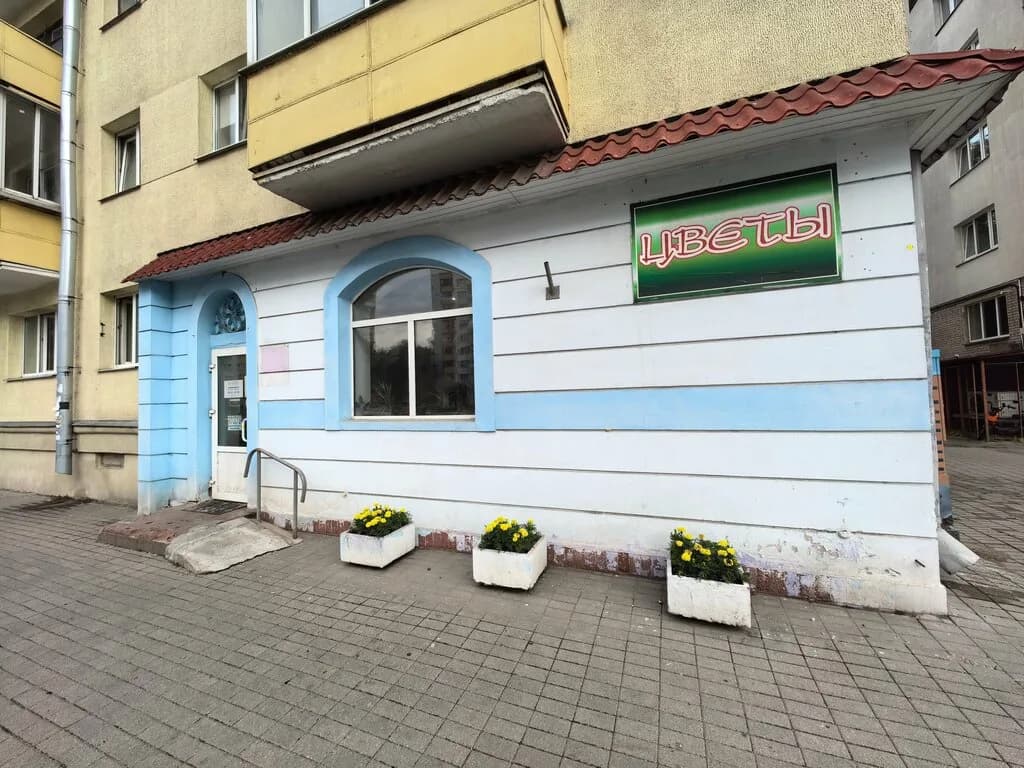 Столичный стандарт — фото 4