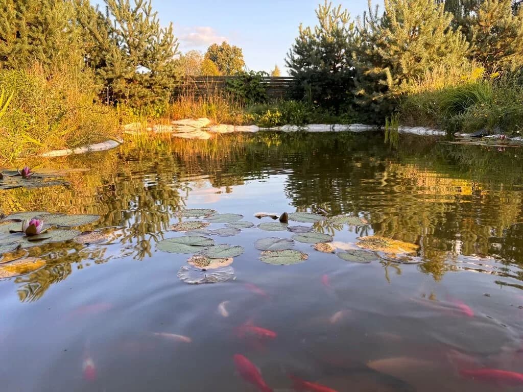 Усадьба Местечко — фото 5
